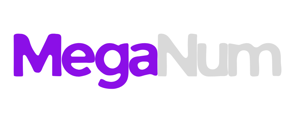 MegaNum Marketing Agency