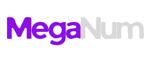 MegaNum Marketing Agency